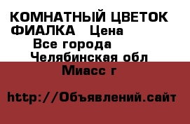 КОМНАТНЫЙ ЦВЕТОК -ФИАЛКА › Цена ­ 1 500 - Все города  »    . Челябинская обл.,Миасс г.